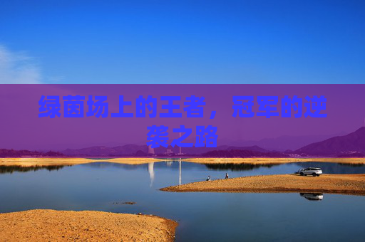 绿茵场上的王者，冠军的逆袭之路