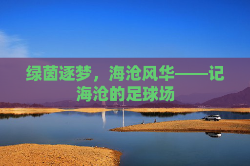 绿茵逐梦，海沧风华——记海沧的足球场