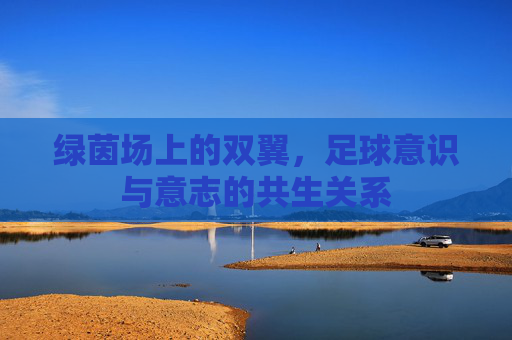 绿茵场上的双翼，足球意识与意志的共生关系