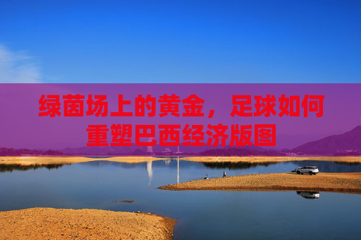 绿茵场上的黄金，足球如何重塑巴西经济版图