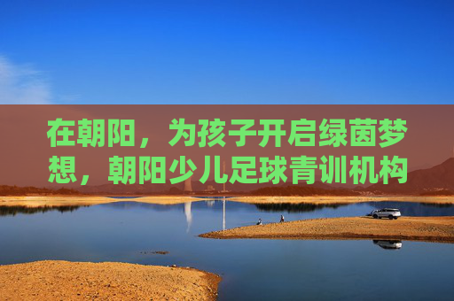 在朝阳，为孩子开启绿茵梦想，朝阳少儿足球青训机构深度解析