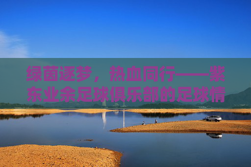 绿茵逐梦，热血同行——紫东业余足球俱乐部的足球情怀