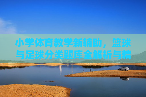 小学体育教学新辅助，篮球与足球分类题库全解析与精选题库