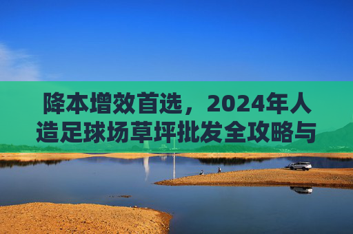 降本增效首选，2024年人造足球场草坪批发全攻略与选购指南