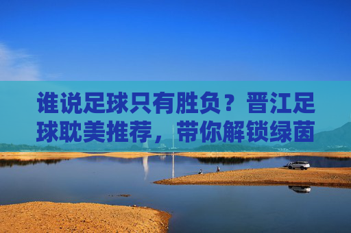 谁说足球只有胜负？晋江足球耽美推荐，带你解锁绿茵场上的极致浪漫！