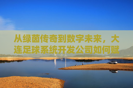 从绿茵传奇到数字未来，大连足球系统开发公司如何赋能体育产业