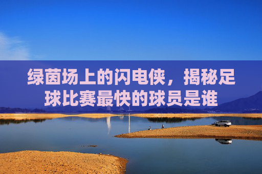 绿茵场上的闪电侠，揭秘足球比赛最快的球员是谁