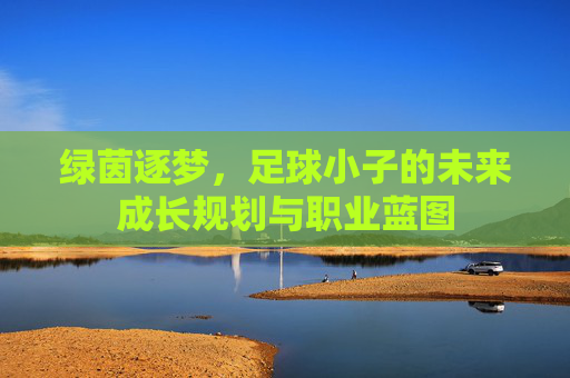 绿茵逐梦，足球小子的未来成长规划与职业蓝图