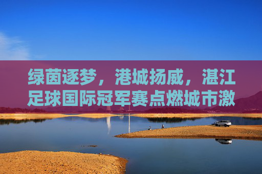 绿茵逐梦，港城扬威，湛江足球国际冠军赛点燃城市激情
