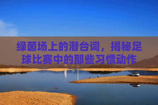 绿茵场上的潜台词，揭秘足球比赛中的那些习惯动作