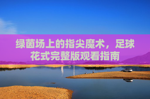 绿茵场上的指尖魔术，足球花式完整版观看指南