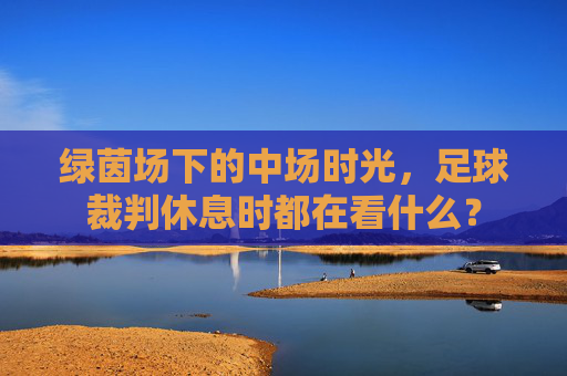 绿茵场下的中场时光，足球裁判休息时都在看什么？
