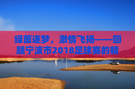 绿茵逐梦，激情飞扬——回顾宁波市2018足球赛的精彩瞬间