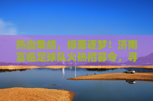热血集结，绿茵逐梦！济南富临足球队火热招募令，寻找下一个你！