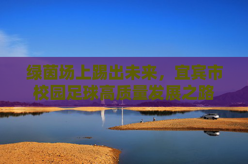 绿茵场上踢出未来，宜宾市校园足球高质量发展之路