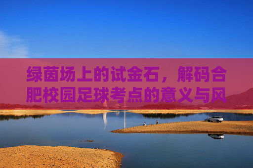 绿茵场上的试金石，解码合肥校园足球考点的意义与风采