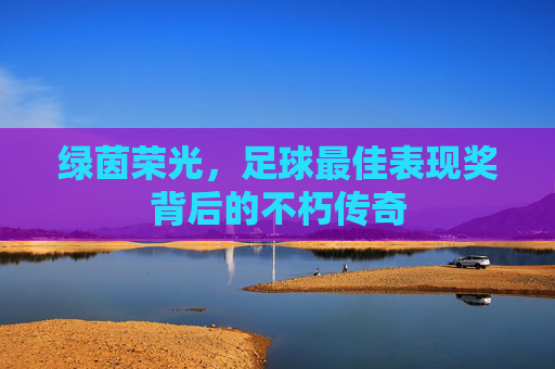绿茵荣光，足球最佳表现奖背后的不朽传奇