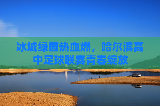 冰城绿茵热血燃，哈尔滨高中足球联赛青春绽放