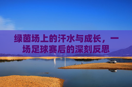绿茵场上的汗水与成长，一场足球赛后的深刻反思
