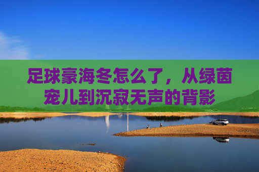 足球豪海冬怎么了，从绿茵宠儿到沉寂无声的背影