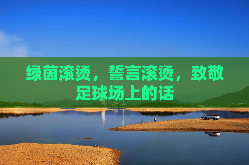 绿茵滚烫，誓言滚烫，致敬足球场上的话
