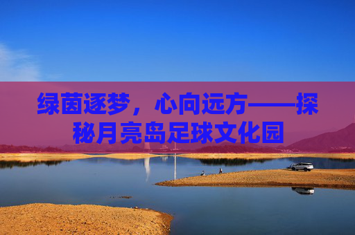 绿茵逐梦，心向远方——探秘月亮岛足球文化园