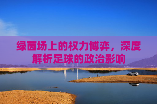 绿茵场上的权力博弈，深度解析足球的政治影响