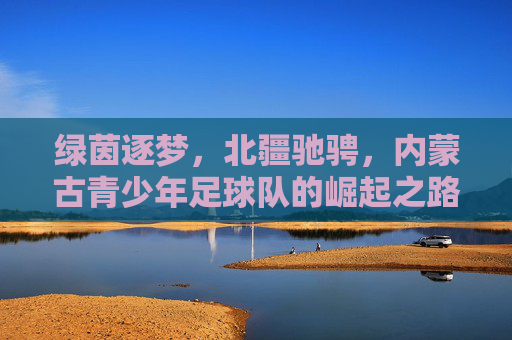 绿茵逐梦，北疆驰骋，内蒙古青少年足球队的崛起之路
