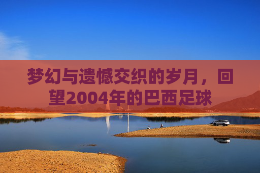梦幻与遗憾交织的岁月，回望2004年的巴西足球