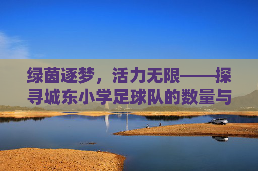 绿茵逐梦，活力无限——探寻城东小学足球队的数量与风采