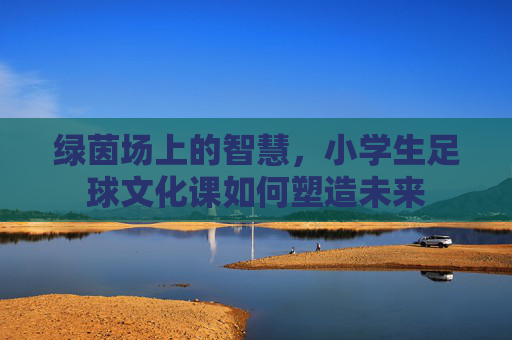 绿茵场上的智慧，小学生足球文化课如何塑造未来