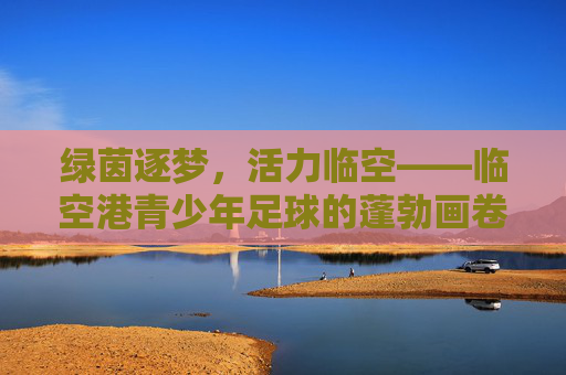 绿茵逐梦，活力临空——临空港青少年足球的蓬勃画卷