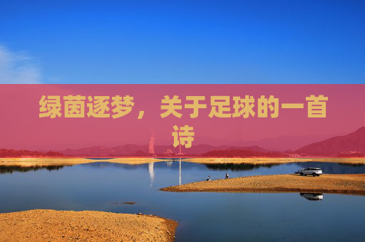 绿茵逐梦，关于足球的一首诗