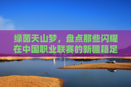 绿茵天山梦，盘点那些闪耀在中国职业联赛的新疆籍足球球员