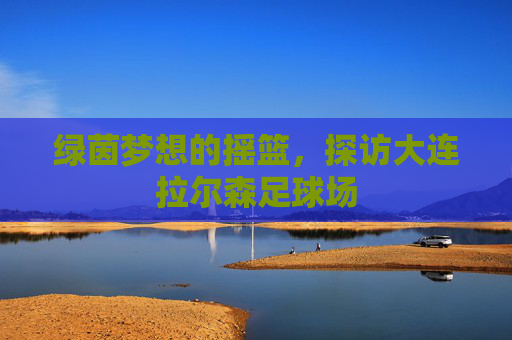 绿茵梦想的摇篮，探访大连拉尔森足球场