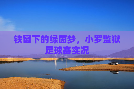 铁窗下的绿茵梦，小罗监狱足球赛实况