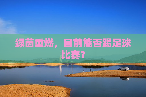 绿茵重燃，目前能否踢足球比赛？