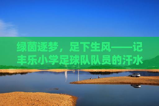绿茵逐梦，足下生风——记丰乐小学足球队队员的汗水与成长