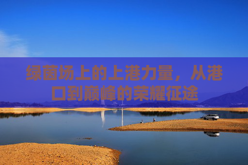 绿茵场上的上港力量，从港口到巅峰的荣耀征途