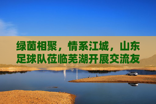 绿茵相聚，情系江城，山东足球队莅临芜湖开展交流友谊赛