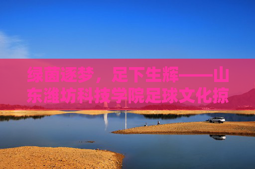 绿茵逐梦，足下生辉——山东潍坊科技学院足球文化掠影