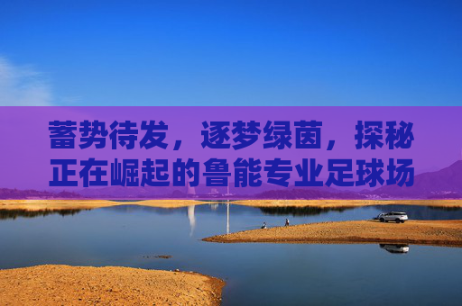蓄势待发，逐梦绿茵，探秘正在崛起的鲁能专业足球场