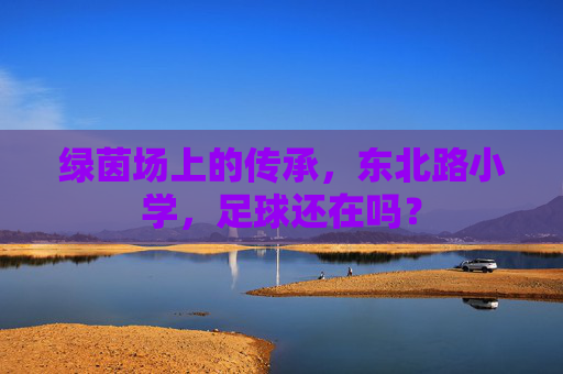 绿茵场上的传承，东北路小学，足球还在吗？