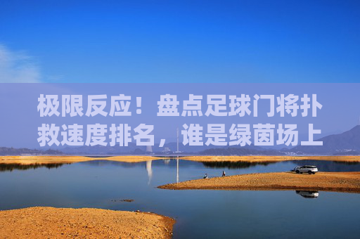 极限反应！盘点足球门将扑救速度排名，谁是绿茵场上的快门