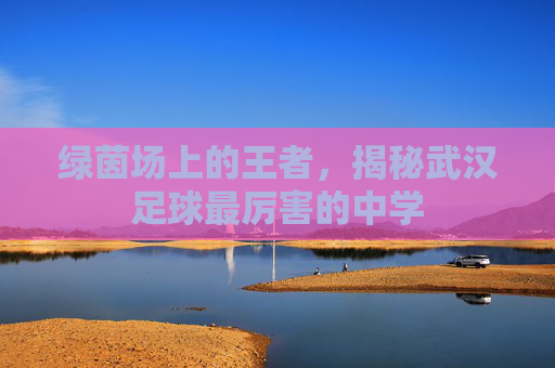 绿茵场上的王者，揭秘武汉足球最厉害的中学