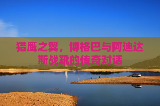 猎鹰之翼，博格巴与阿迪达斯战靴的传奇对话
