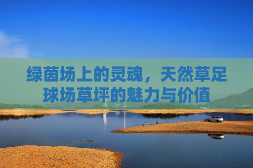 绿茵场上的灵魂，天然草足球场草坪的魅力与价值