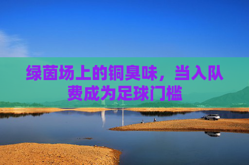 绿茵场上的铜臭味，当入队费成为足球门槛