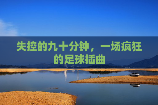失控的九十分钟，一场疯狂的足球插曲