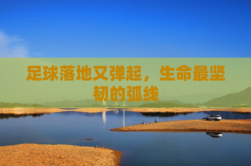 足球落地又弹起，生命最坚韧的弧线